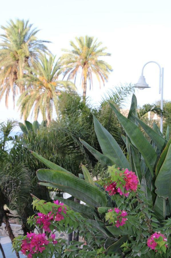 Bella Andalucia Apartment Almuñécar Exterior foto